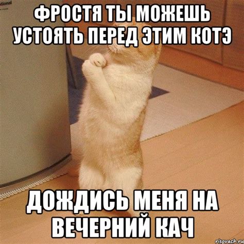 фростя ты можешь устоять перед этим котэ дождись меня на вечерний кач ...