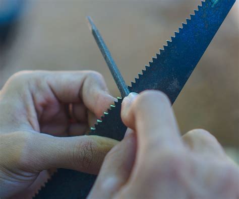 Pruning saw mistakes – experts reveal 6 missteps the…