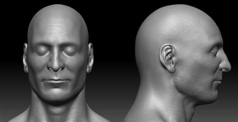 human head study by sergin3d2d on DeviantArt