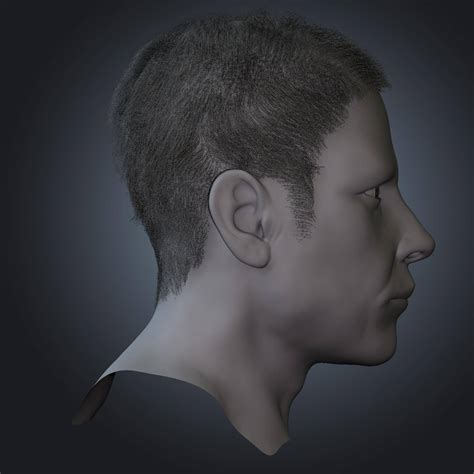 Male Face - 3D Model by dcbittorf
