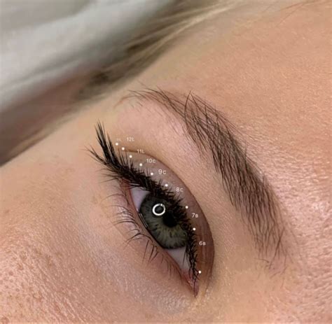 Схема наращивания | Beauty clinic, Lashes, Makeup