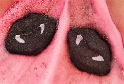 how much does a moab cost to make