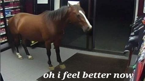 AI Puking Horse | Know Your Meme