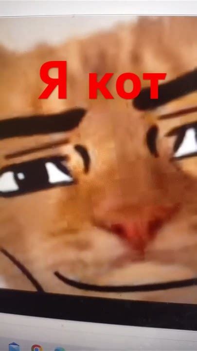 Лучшие мемы #анимация #contryballs #самара #countryballs #смешно #fun # ...