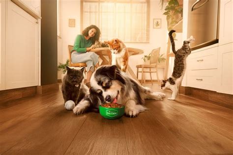 Purina - Dog Chow on Behance | Purina dog chow, Purina, Dogs