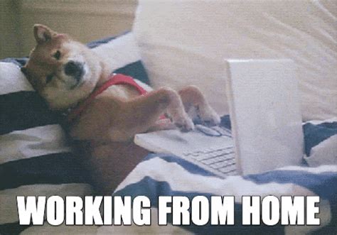 Work At Home GIFs - Get the best GIF on GIPHY