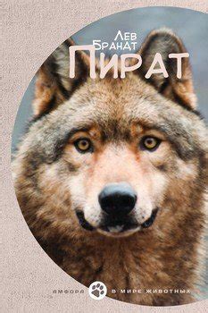 Книга "Пират" - Брандт Лев Владимирович скачать бесплатно, читать онлайн
