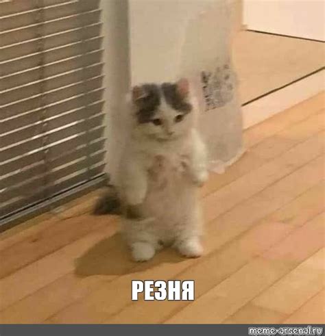 Мем: "РЕЗНЯ" - Все шаблоны - Meme-arsenal.com