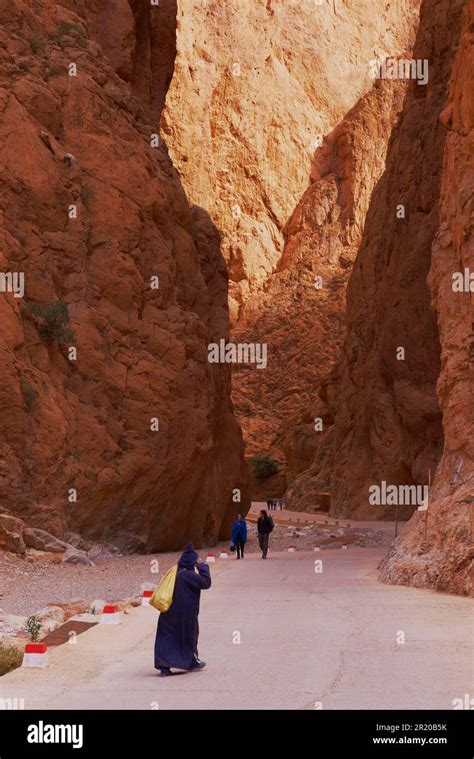 Todra Gorge, Todra Valley, High Atlas, North Africa, Morocco Stock ...