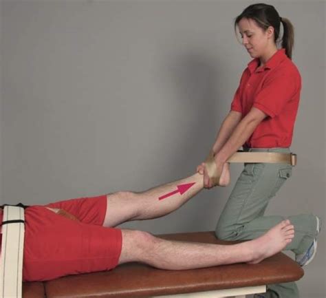 JOINT MOBILIZATION OF THE HIP - PHCN Online