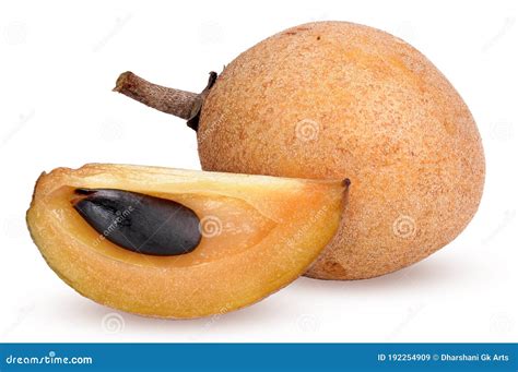 Sapodilla Fruit On The Tree Stock Image | CartoonDealer.com #43788637