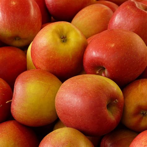 mela pink lady tosco