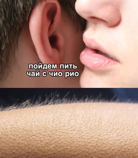 клуб поклонников чио рио 2024 | ВКонтакте