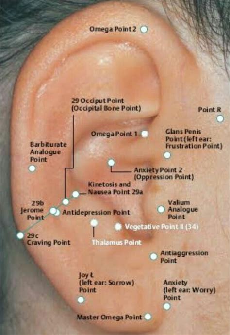 Acupuntura Auricular China 2