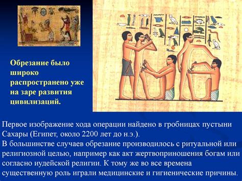 История урологии - презентация онлайн