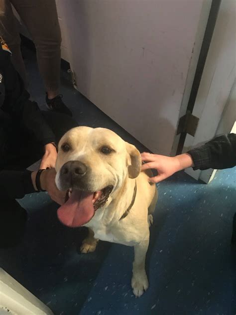 Kingston Police Department - Home | Facebook