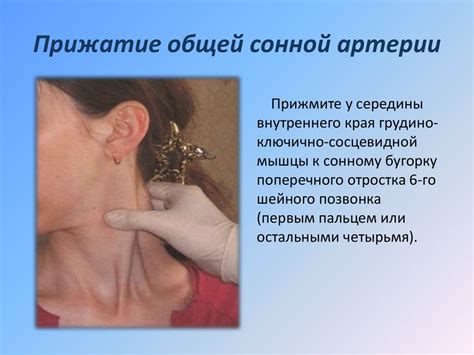 Гемостаз. Методы временной остановки кровотечений - презентация онлайн