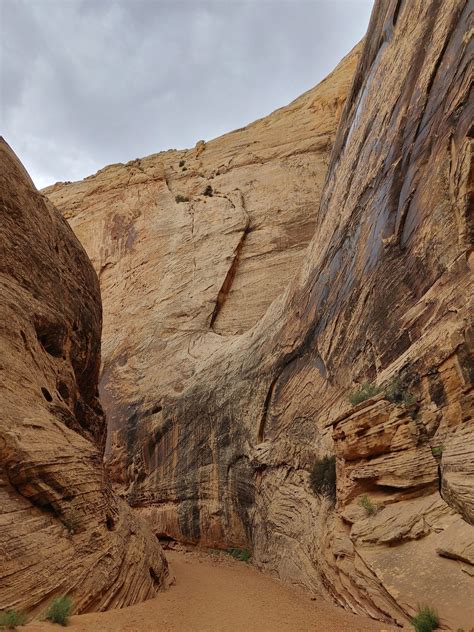 Washed Away by Wonder: A Hiker's Guide to the Grand Wash Trail, Capitol