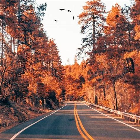 Scenic Fall Drives Near Phoenix | Payson, Mogollon Rim, White Mountains