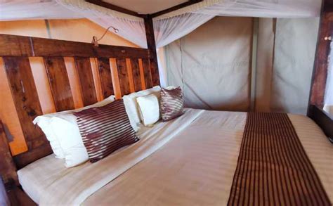 Serengeti Safari Lodge | Monkey Adventures