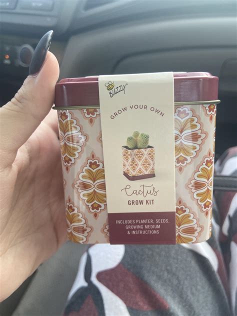 Any luck growing cactus from store bought grow kits? : r/cactus