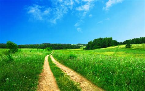 Красивое лето обои для рабочего стола, картинки и фото - RabStol.net