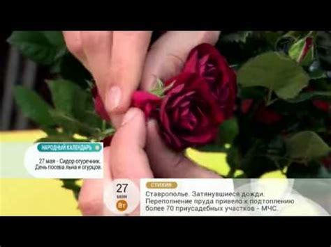 Как избавиться от тяжести в желудке? - YouTube