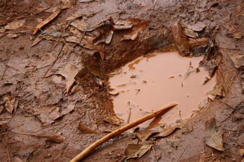 Mud puddle visuals shake - vcpna