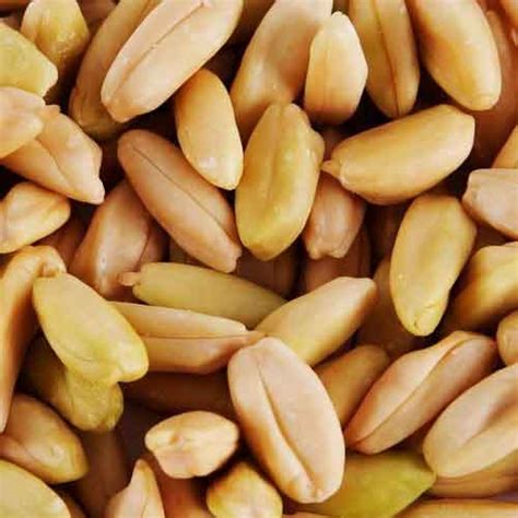 Pili Nut | Nutrition facts-Pili Nut | Health benefits