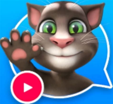 Discuss Everything About Talking Tom & Friends Wiki | Fandom
