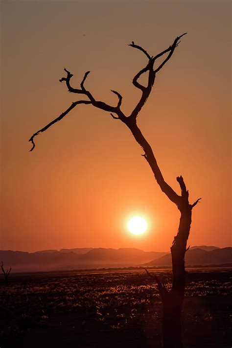 Namibian sunrise Photograph by Gene Myers - Pixels