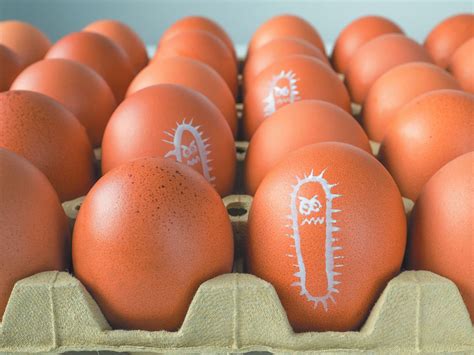 Foodborne Illness: How to Reduce Risk - Tufts Health & Nutrition Letter