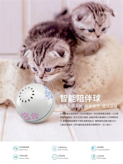 Petoneer Play Ball 智能陪伴球 (需預訂) - 毛·家糧倉