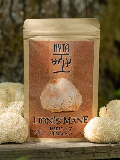 Lion's Mane - En sopp for Hjernen og nervesystemet - Nyta