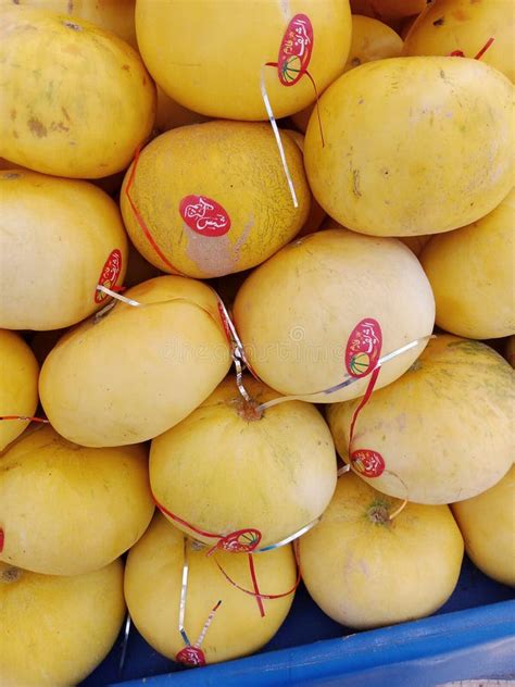 Golden Sweet Melon from Talagang Pakistan Stock Photo - Image of sweet ...