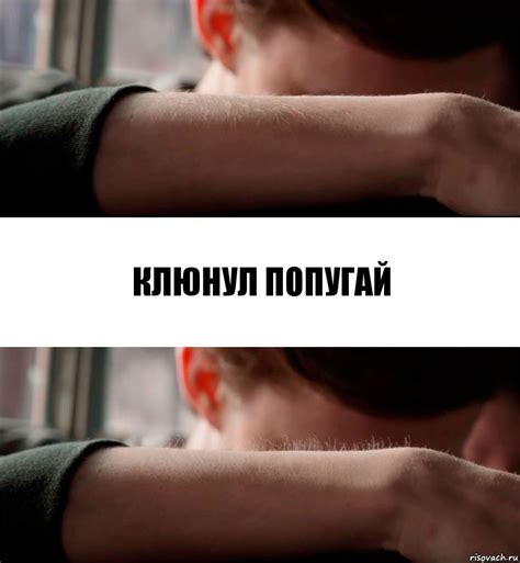 Клюнул попугай, Комикс Волосы дыбом - Рисовач .Ру