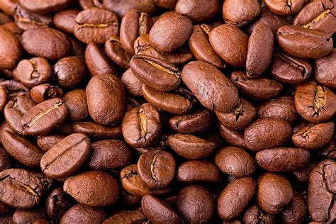 liberica coffee     emerging species