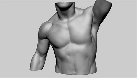 ArtStation - Base Male Anatomy | Resources