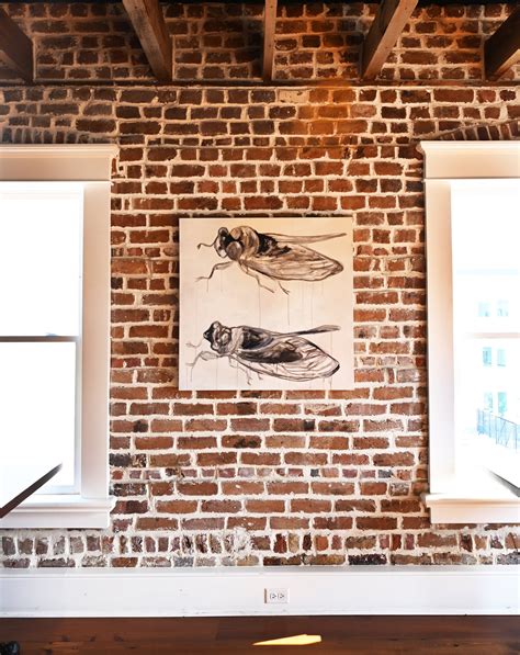 Cicada Cicada — SF