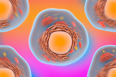Fast, noninvasive technique for probing cells may reveal disease | MIT