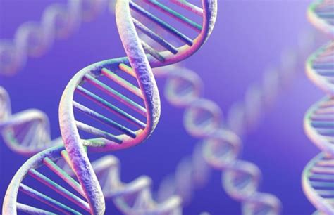 Dermatoz nədir? | Kosmetologiya-dermatologiya.az