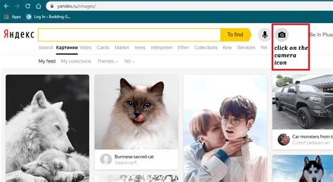 How Does Yandex Reverse Image Search Work? Detailed Guide