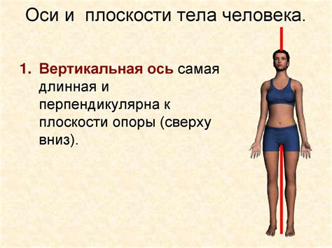 Анатомия и физиология человека - презентация онлайн