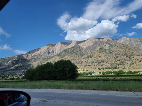 TW Pornstars - 3 pic. Rose Mastos. Twitter. Did the long 12 hour drive