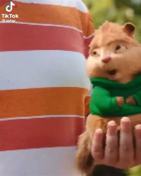 THEODORE😨⁉️ [Video] in 2024 | Alvin and the chipmunks, Chipmunks, Vines ...