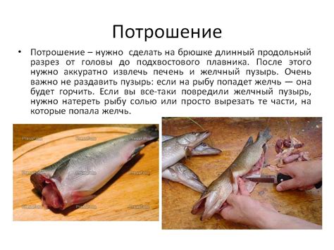 Разделка рыбы - Технология