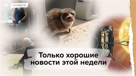 Хорошие новости этой недели - YouTube