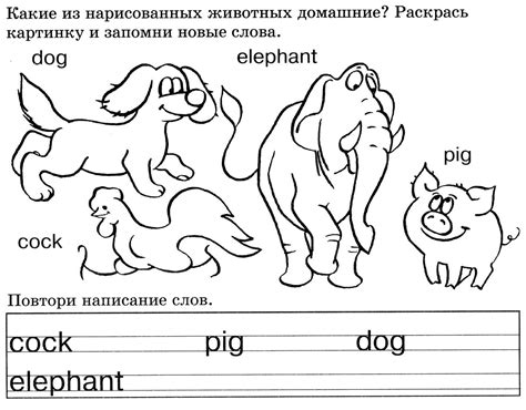 Книжка-раскраска для изучения английского языка