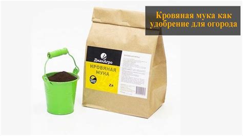 Кровяная мука как удобрение как применять - YouTube