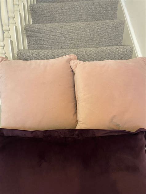 Free: 4 cushions in pink and purple velour material (Fulham Palace Rd